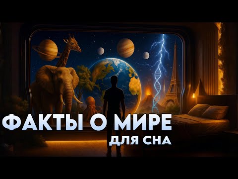 Видео: ЛЕКЦИЯ ДЛЯ СНА🌙 300 фактов о мире, которые помогут вам уснуть