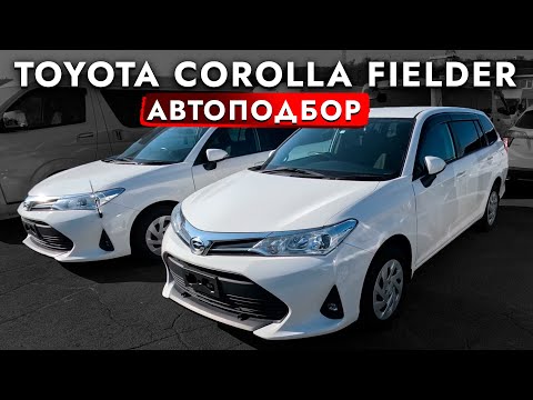 Видео: Взяли УНИВЕРСАЛ TOYOTA❗️ БОЛЬШОЙ обзор ЦЕН на COROLLA FILDER! Выбор есть. Автоподбор во Владивостоке