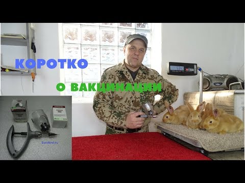 Видео: Вакцинация кроликов ВГБК, Миксоматоз, Пастереллёз в кролиководческом хозяйстве