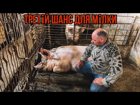 Видео: Мілка Все❌