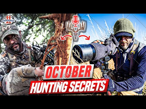 Видео: Секреты охоты Spook в октябре. Неужели наступило «затишье»?