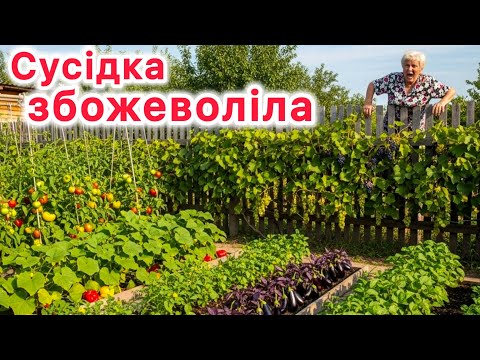 Видео: Соседка сошла с ума 😳из-за чего весь конфликт
