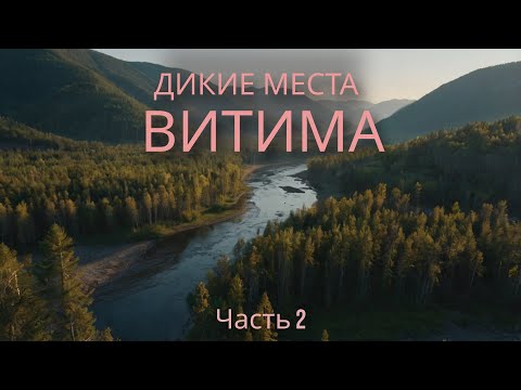 Видео: ЛЕНКИ С КАЖДОГО ЗАБРОСА ЭТА РЕКА ЗАБИТА РЫБОЙ | ДИКИЕ МЕСТА ВИТИМА | ЧЕТЫРЕ ДНЯ В ТАЙГЕ | ЧАСТЬ 2 .