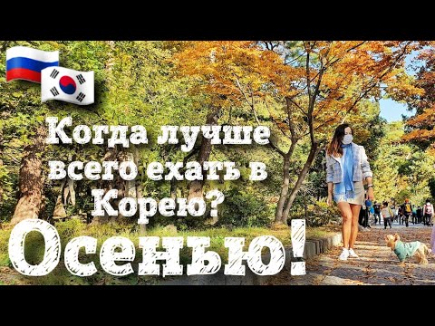Видео: Когда лучше всего ехать в Южную Корею? Осенью! Осенние прогулки, храм Помоса.