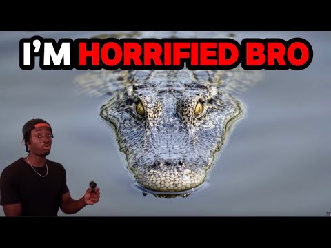 Видео: САМЫЙ ОПЕРАТИВНЫЙ ХИЩНИК НА ЗЕМЛЕ, БРО