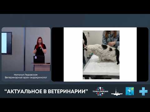 Видео: Сахарный диабет  Основные тезисы 2023г