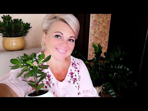 Видео: ВСЕМ ПРИВЕТ, ❤️ ВСЕМ ЗДРАВСТВУЙТЕ 😘