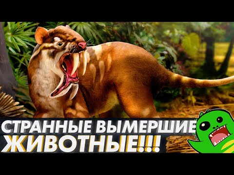 Видео: СТРАННЫЕ ВЫМЕРШИЕ ЖИВОТНЫЕ: Тилакосмил, Туллимонстр, Талассокнус