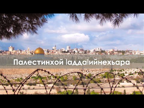 Видео: Палестинхой Iаддаlийнехьара / lадлан