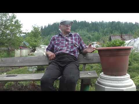 Видео: Интервью с Валерой Корольковым