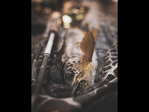 Видео: Рыболовные джиг-стримеры