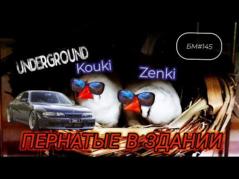 Видео: БУДНИ МОДЕЛИСТА #145