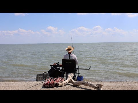 Видео: Рыбалка на водохранилище и активный клёв рыбы на фидерную снасть