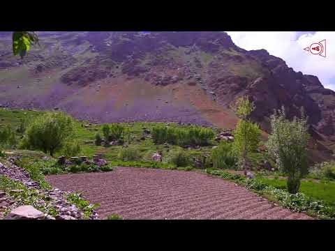 Видео: Village Khuf of Tajikistan Part 2 / Кишлак Хуф часть 2 / 01-06-2025