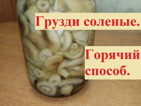Видео: Грузди соленые горячим способом