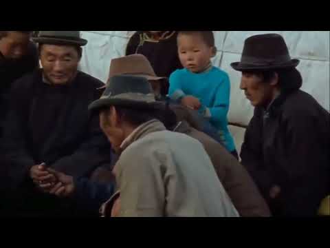 Видео: "Хөвч тайга" 1 дүгээр хэсэг.