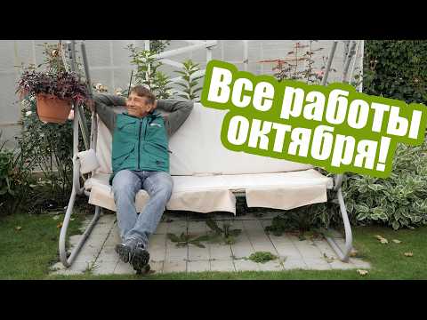 Видео: Успейте сделать это на участке в октябре!