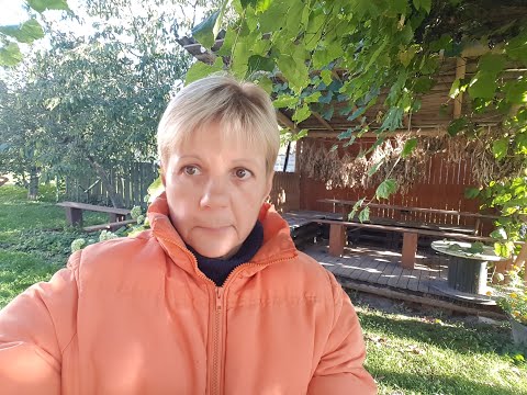 Видео: ЖИВЕМ В ДЕРЕВНЕ/ БЕЛАРУСЬ.Соседка Завалила Тыквами./ Тыква На Завтрак.