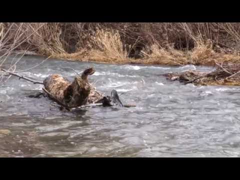 Видео: Река Факийска – Там, където времето е спряло