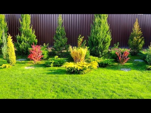 Видео: МОЖЖЕВЕЛЬНИКИ КОТОРЫЕ ХОЧЕТСЯ ПОВТОРИТЬ. 2.11.2025г.