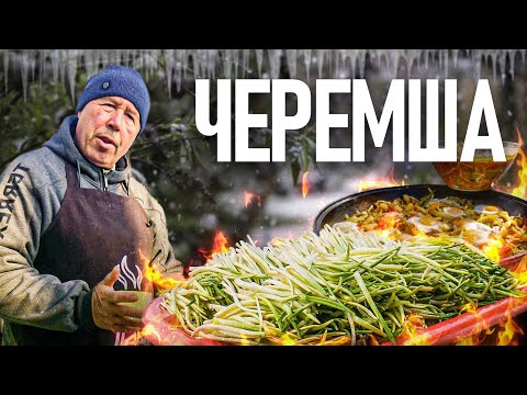 Видео: ЧЕРЕМША с жареной картошкой + ЗАКУСКА из ЧЕРЕМШИ