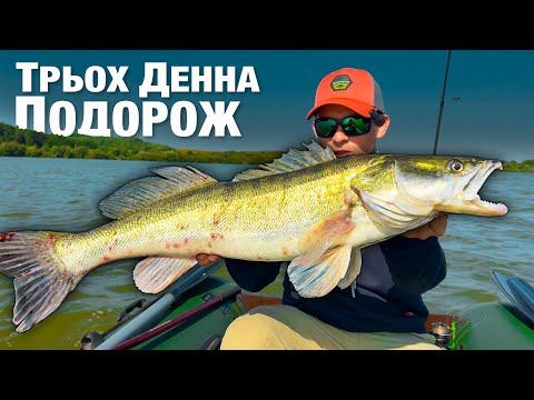 Видео: Це Просто ТВАРЮКИ - Рибалка На Рекордних Судаків
