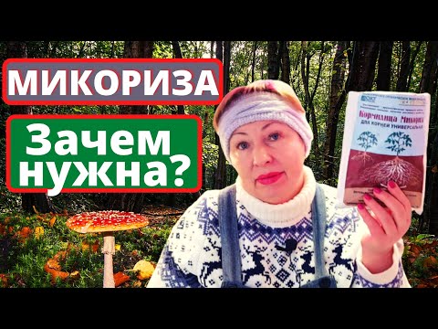 Видео: Что такое МИКОРИЗА? Зачем в саду нужна микориза ? Мои сомнения по использованию.