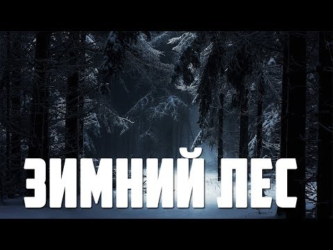 Видео: Страшные истории - Зимний лес
