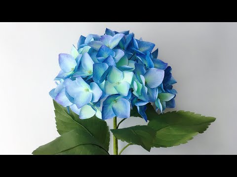 Видео: ABC TV | Как сделать цветок гортензии бумагой из бумаги для принтеров - учебник по ремеслу