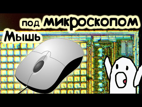Видео: Что внутри компьютерной мышки Смотрим под микроскопом