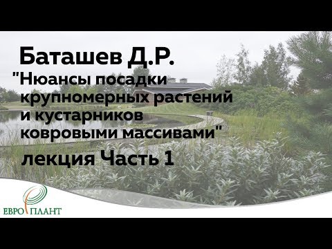 Видео: Денис Баташев. "Нюансы посадки крупномерных растений и кустарников ковровыми массивами" часть 1.