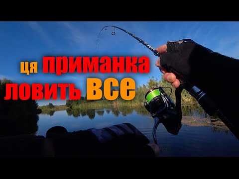 Видео: Ця ПРИМАНКА ЛОВИТЬ ВСЕ / ЩУКА,ЖЕРЕХ,ОКУНЬ,ГОЛОВЕНЬ