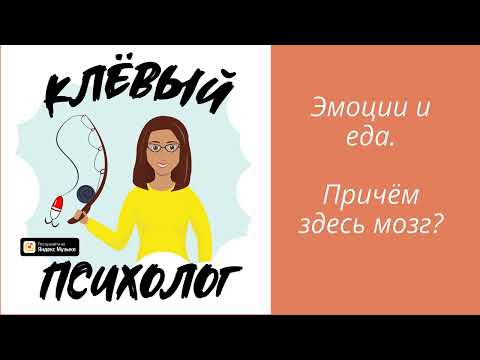 Видео: Еда и эмоции. Причём здесь мозг?