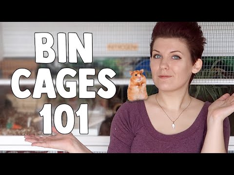 Видео: Клетки для хомяков 101 + Как сделать клетку из контейнера