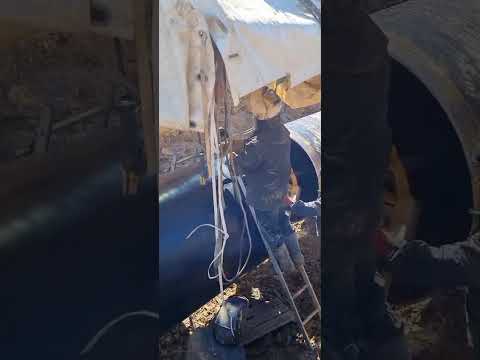 Видео: 22 октября 2025 г.