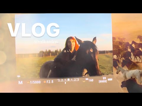 Видео: VLOG конный клуб