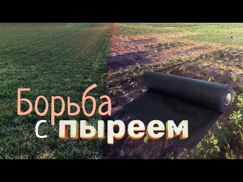 Видео: Уничтожение сорняков с помощью агроволокна, средство от сорняков.