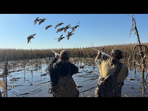 Видео: День открытия ОГРАНИЧЕНИЯ ДЛЯ УТИЦ на ЗАТОПЛЕННОМ КУКУРУЗНОМ ПОЛЕ!!