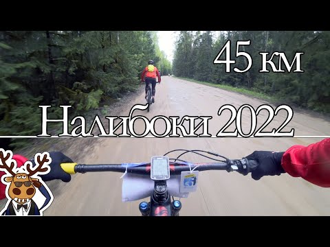 Видео: Налибоки 2022 | Дистанция 45 км вело - полумарафон
