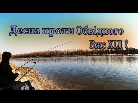 Видео: Десна проти Обвідного. Хід плотви. В пошуках плотви #fishing #рибалка #хідплотви #рибацькийдвіж