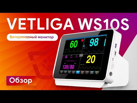 Видео: Обзор VETLIGA WS10S: мультипараметрический ветеринарный монитор