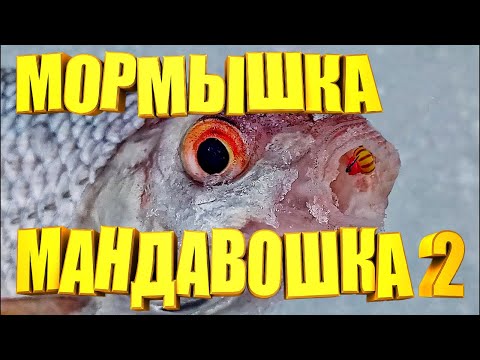 Видео: Без этой снасти на рыбалку не хожу. Самодельная Мормышка Мандавошка выручает ВСЕГДА ПРОВЕРЕНО годами