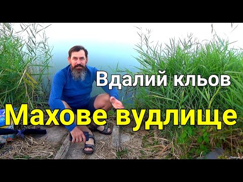 Видео: Рибалка маховим вудлищем на водосховищі у вересні.