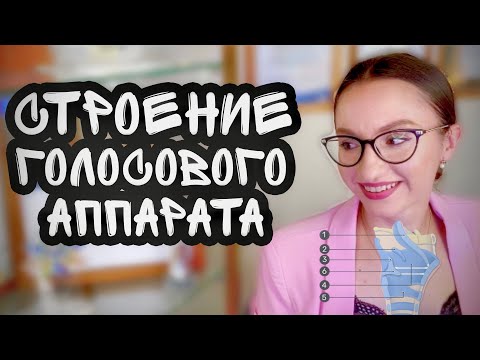 Видео: Строение голосового аппарата. Разбор видео Paul Jungeblodt “Voice Trix Inside Your Voice”