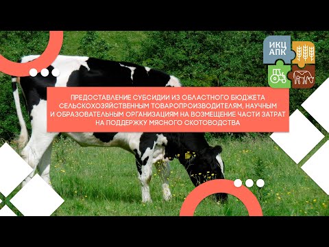 Видео: Запись семинара  от 9 апреля 2024 года