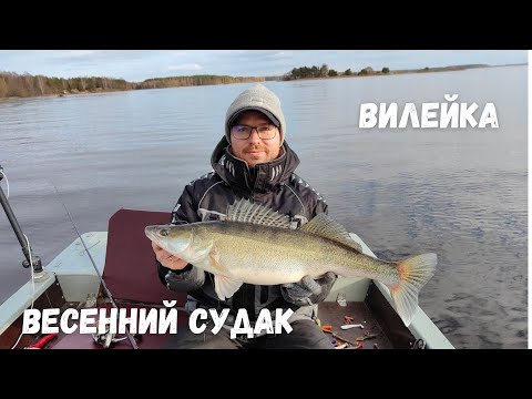 Видео: Весенний судак на Вилейском вдхр. Раттлин, мандула или резина?