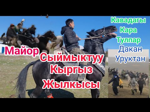 Видео: Майор сатылып кетти
