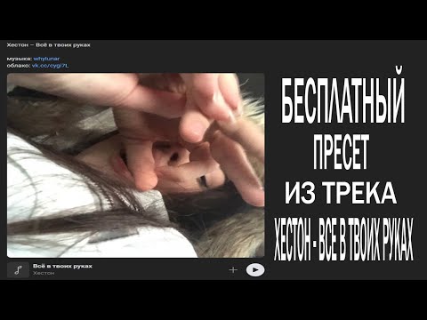 Видео: БЕСПЛАТНЫЙ ПРЕСЕТ ХЕСТОН - ВСЕ В ТВОИХ РУКАХ (FF/STOCK)