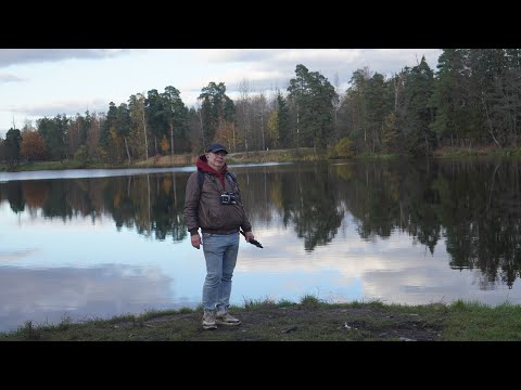 Видео: Ломоносов, Красный пруд 21 октября 2025 года.