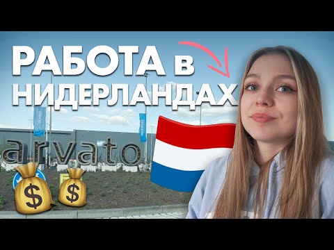 Видео: Работа в Нидерландах